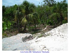 post-4087-0-02029300-1434548785_thumb.jp