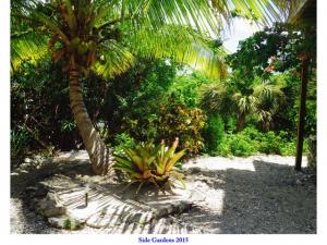 post-4087-0-12776500-1434548679_thumb.jp