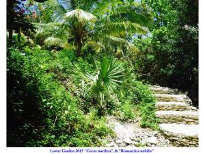 post-4087-0-17078100-1434548792_thumb.jp