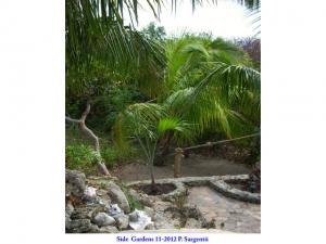 post-4087-0-19495200-1434548604_thumb.jp