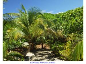 post-4087-0-26134100-1434548686_thumb.jp