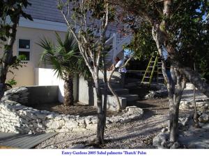 post-4087-0-40798100-1434548519_thumb.jp