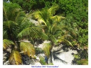 post-4087-0-49220700-1434548602_thumb.jp