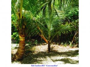 post-4087-0-70041200-1434548683_thumb.jp