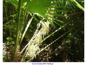 post-4087-0-70547600-1434548858_thumb.jp