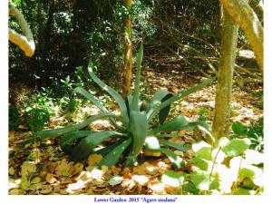 post-4087-0-99982500-1434548860_thumb.jp