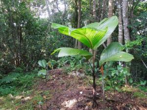 post-4111-0-03373400-1378597410_thumb.jp