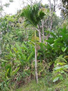 post-4111-0-03654100-1349268478_thumb.jp