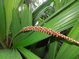 post-4111-0-15201800-1355836957_thumb.jp