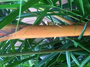 post-4111-0-26673100-1422581837_thumb.jp