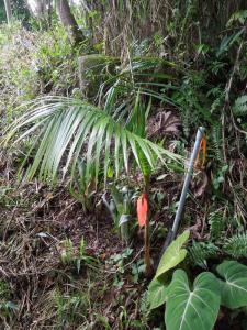 post-4111-0-30651200-1377303945_thumb.jp