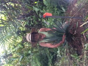 post-4111-0-31920900-1408009154_thumb.jp