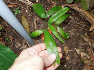 post-4111-0-32275900-1348962997_thumb.jp