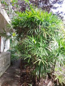 post-4111-0-32641300-1348962953_thumb.jp