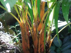 post-4111-0-47012100-1379937734_thumb.jp