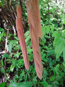 post-4111-0-56401100-1393416591_thumb.jp