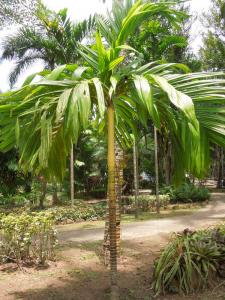 post-4111-0-60966100-1349137333_thumb.jp