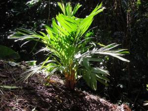 post-4111-0-61477800-1379937737_thumb.jp