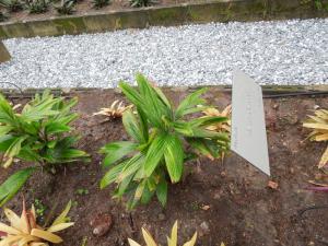 post-4111-0-68449600-1349137463_thumb.jp