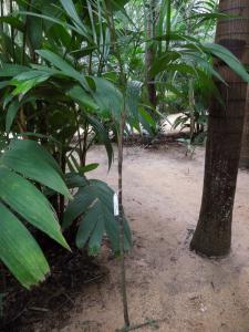 post-4111-0-69003900-1349178091_thumb.jp