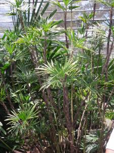 post-4111-0-69789100-1348962838_thumb.jp