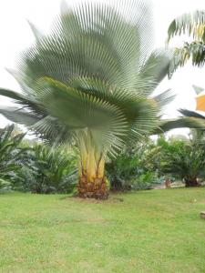 post-4111-0-80504900-1349178048_thumb.jp