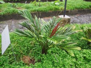 post-4111-0-83158100-1355837014_thumb.jp