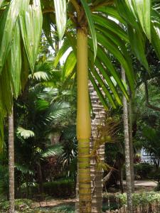 post-4111-0-91145600-1349137344_thumb.jp