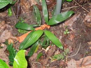 post-4111-0-93220100-1348962920_thumb.jp