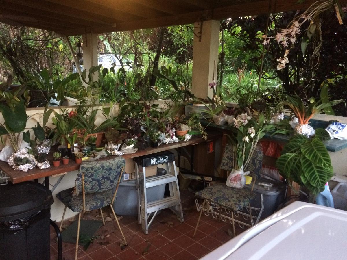 Tropical Favorites now in Puerto Rico