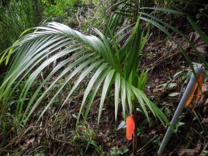 post-4111-0-95427100-1377303950_thumb.jp