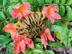 post-4111-0-99114800-1367432288_thumb.jp