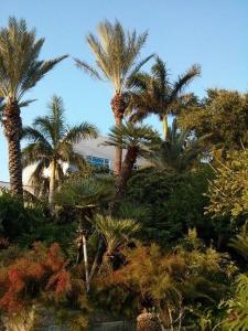 post-4112-0-96436800-1379268932_thumb.jp