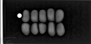 post-4156-0-95803300-1391984302_thumb.jp