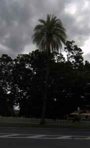 post-42-0-63936800-1344763344_thumb.jpg
