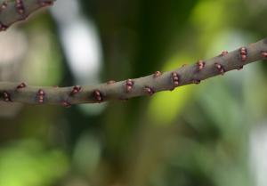 post-42-002652100 1316938577_thumb.jpg