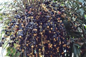 post-42-004080900 1317076440_thumb.jpg