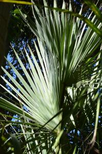 post-42-014491800 1316938583_thumb.jpg