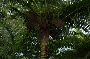 post-42-035771500 1334749472_thumb.jpg