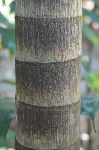 post-42-035839700 1317684332_thumb.jpg