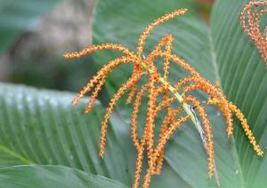 post-42-037877200 1317281660_thumb.jpg