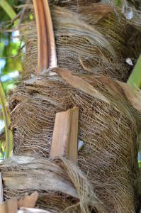 post-42-048485600 1316938710_thumb.jpg