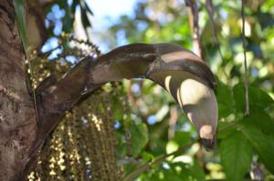 post-42-067873700 1317820737_thumb.jpg