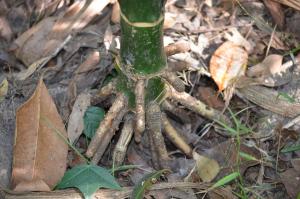 post-42-068216100 1317820709_thumb.jpg