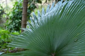 post-42-092657800 1317281656_thumb.jpg