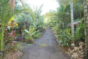 post-420-004288000 1313555700_thumb.jpg