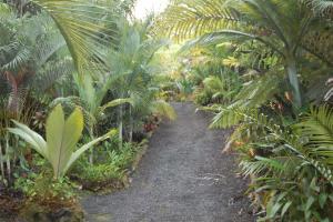 post-420-008388300 1313555704_thumb.jpg