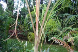 post-420-044291300 1313555677_thumb.jpg