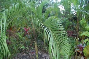 post-420-045908300 1313555681_thumb.jpg