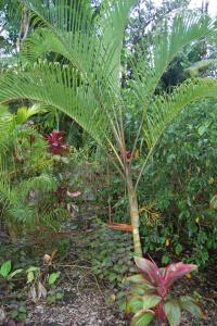 post-420-082903200 1313555666_thumb.jpg